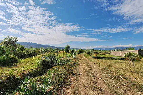 Tanah Kavling Murah Dekat Pantai Dencarik Buleleng - 4