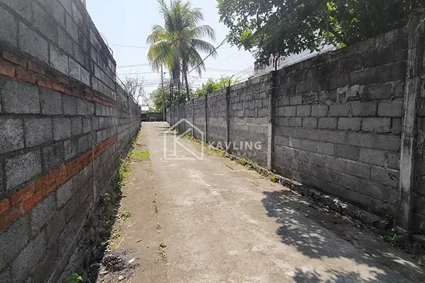 Tanah Kavling Murah di Pantai Penimbangan Buleleng - 2