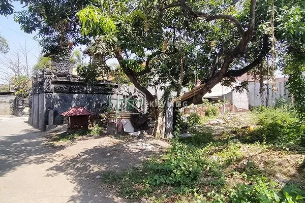 Tanah Kavling Murah di Pantai Penimbangan Buleleng - 3