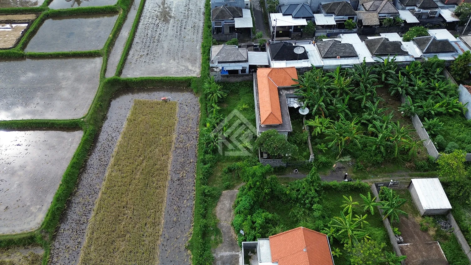 Tanah Kavling Siap Bangun View Sawah di Sambangan - 2