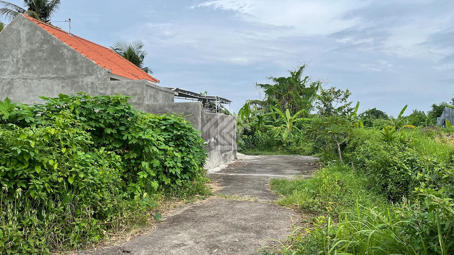 Tanah Kavling Siap Bangun View Sawah di Sambangan - 4