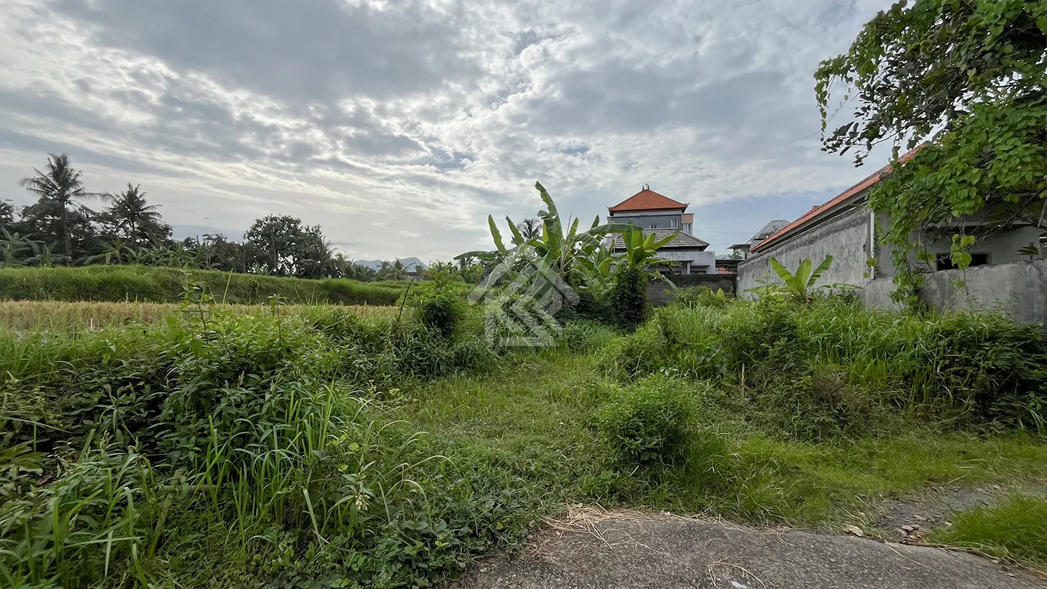 Tanah Kavling Siap Bangun View Sawah di Sambangan - 5