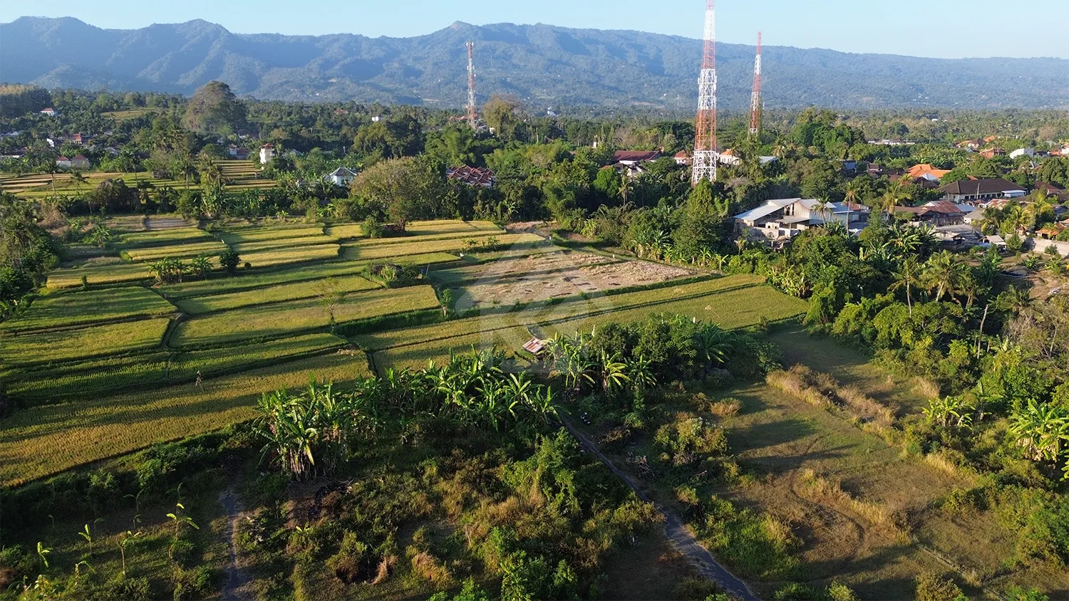 Tanah Kavling View Sawah di Sukasada