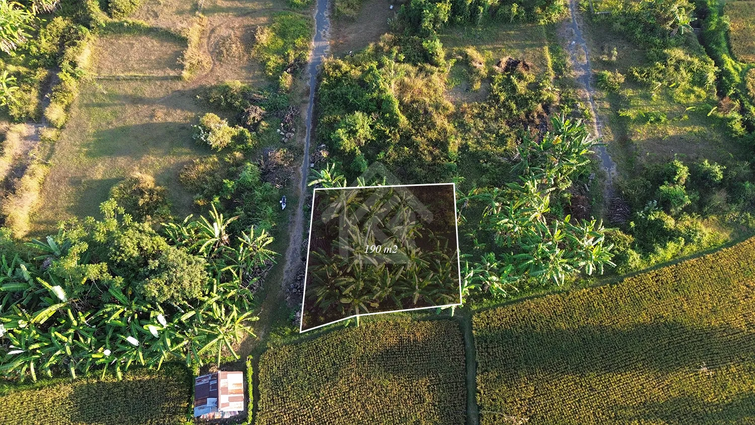 Tanah Kavling View Sawah di Sukasada - 2