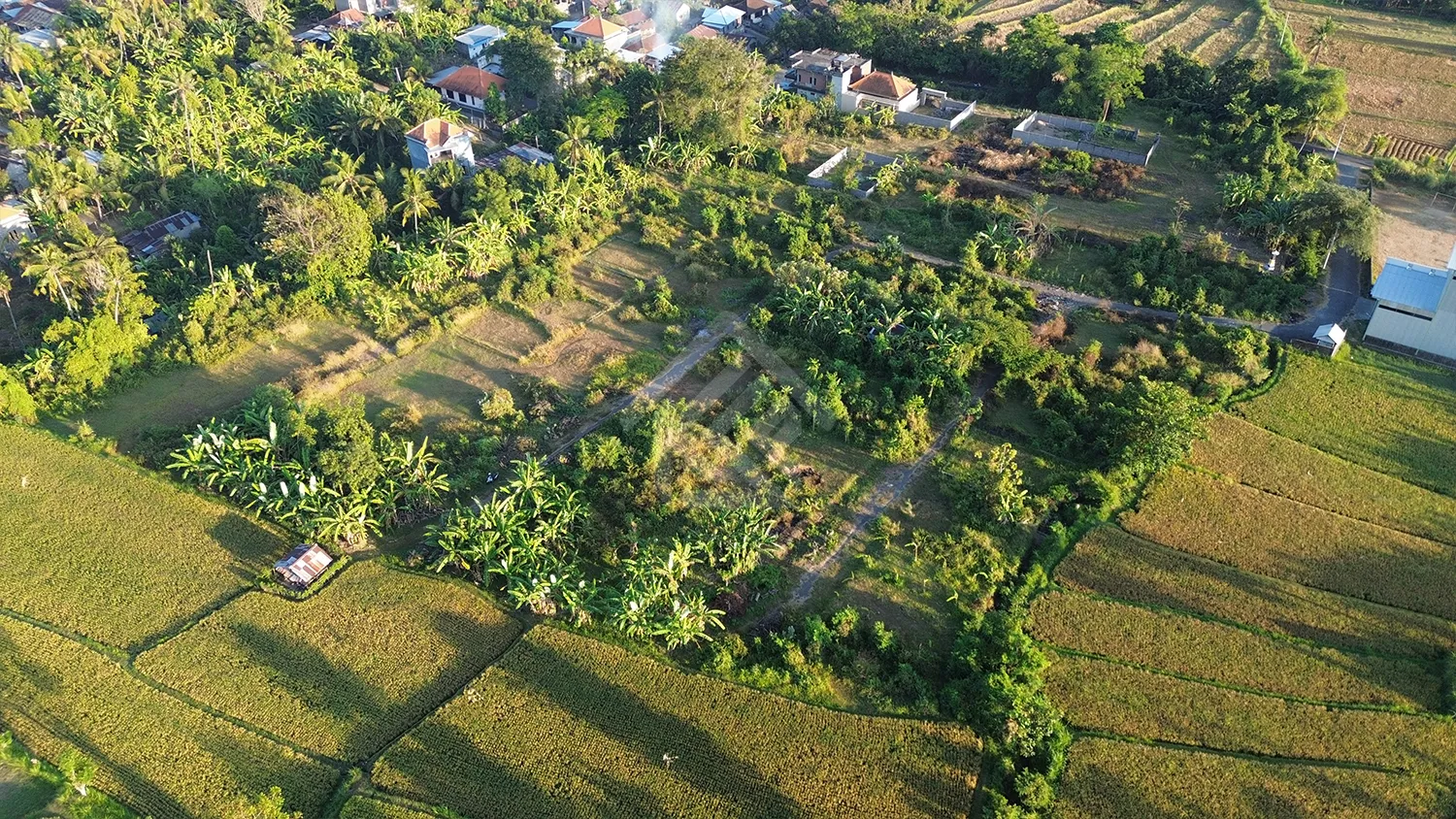 Tanah Kavling View Sawah di Sukasada - 5