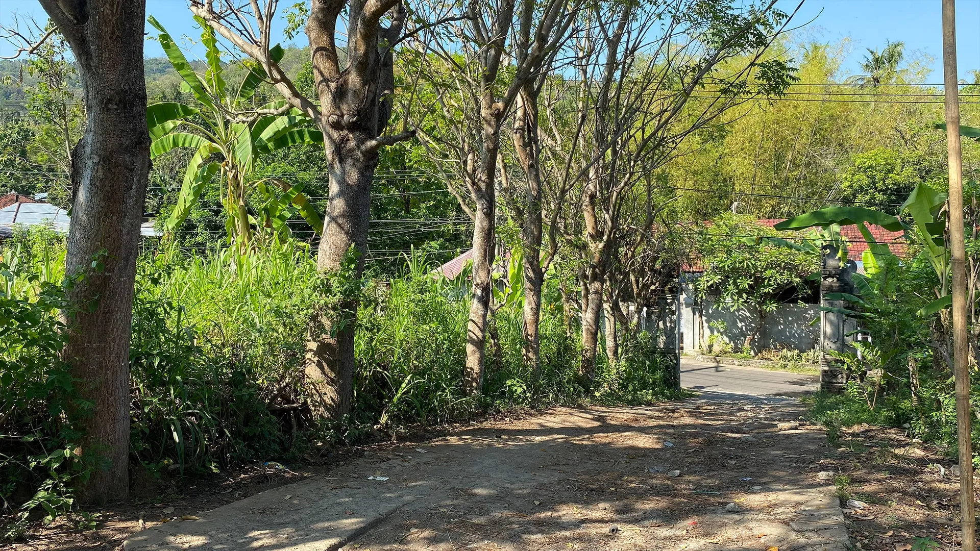 Tanah Pinggir Jalan di Kaliasem - 7
